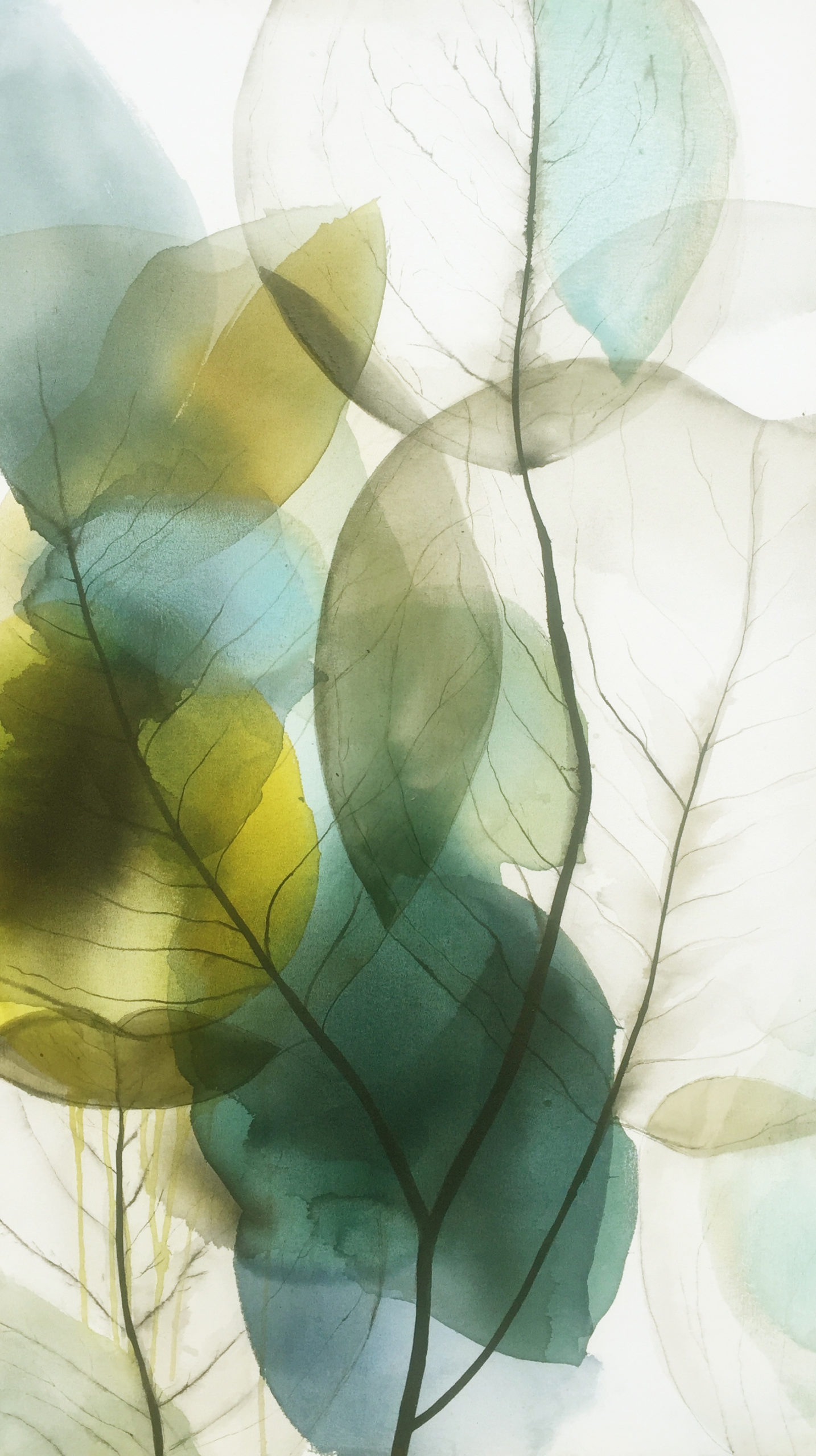 Vicky Sanders Abstract Botanical - Diaphanous