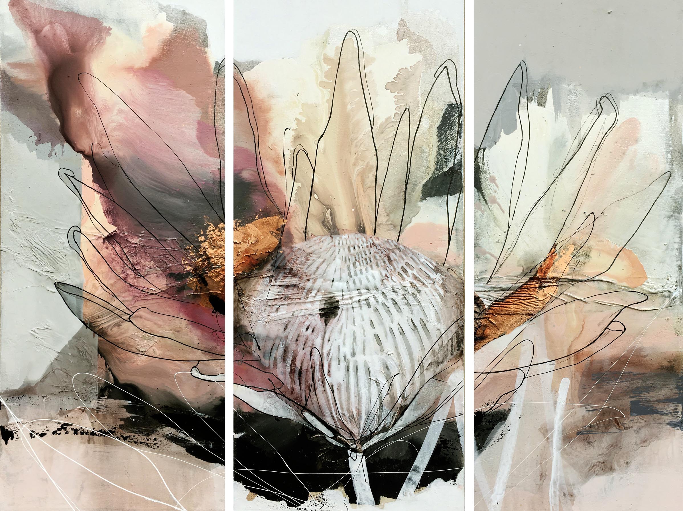 blush and copper protea triptych – protea series